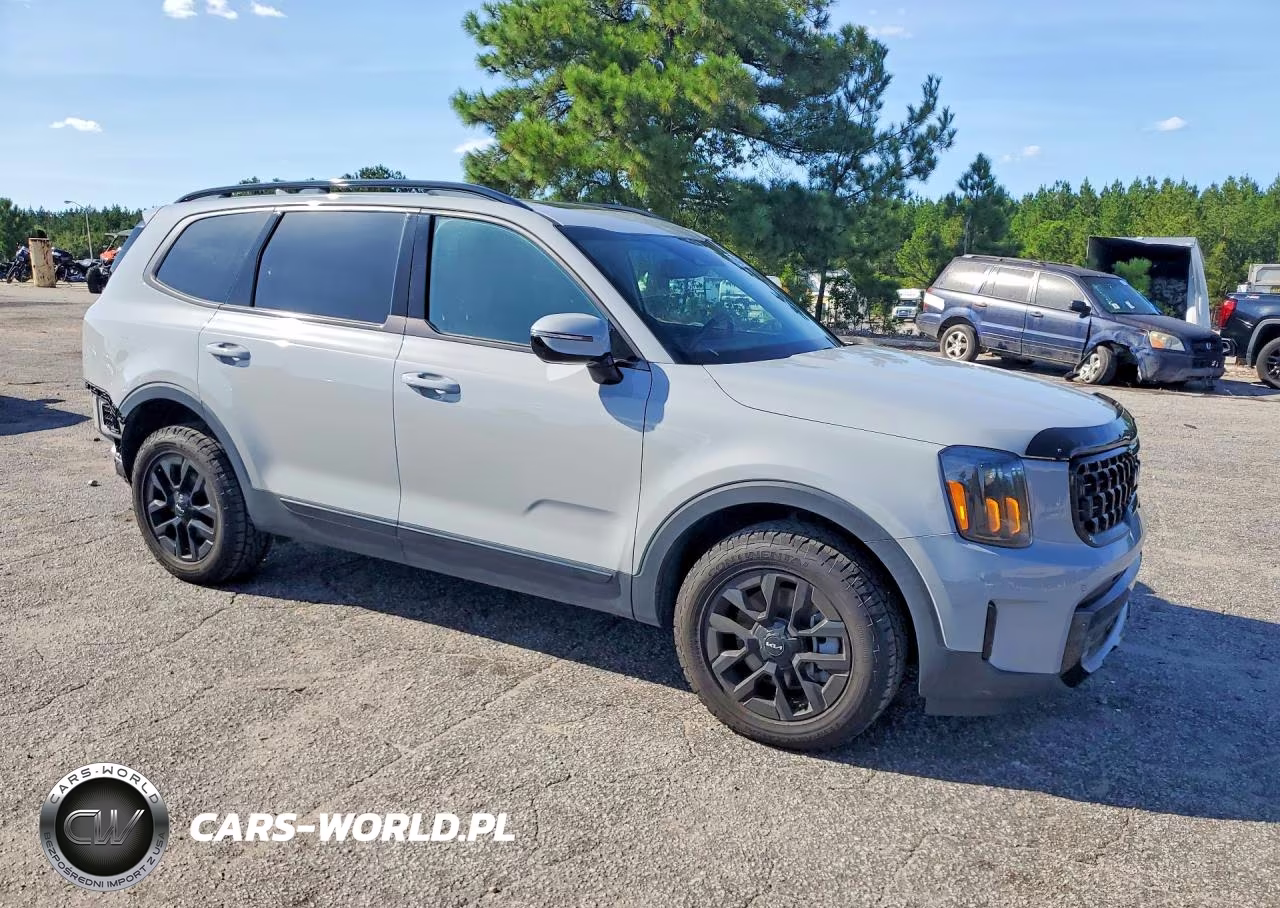2024 Kia Telluride Sx X-Pro VIN:5XYP5DGC1RG484730 - 4