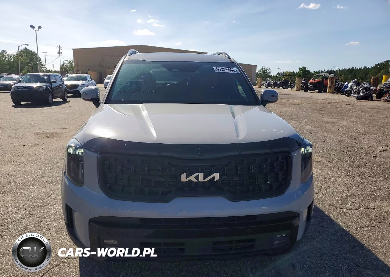 2024 Kia Telluride Sx X-Pro VIN:5XYP5DGC1RG484730 - 5