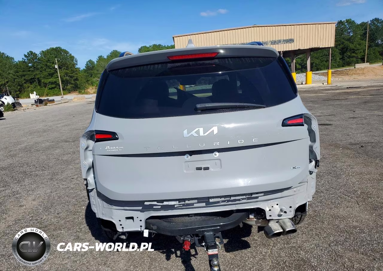 2024 Kia Telluride Sx X-Pro VIN:5XYP5DGC1RG484730 - 6