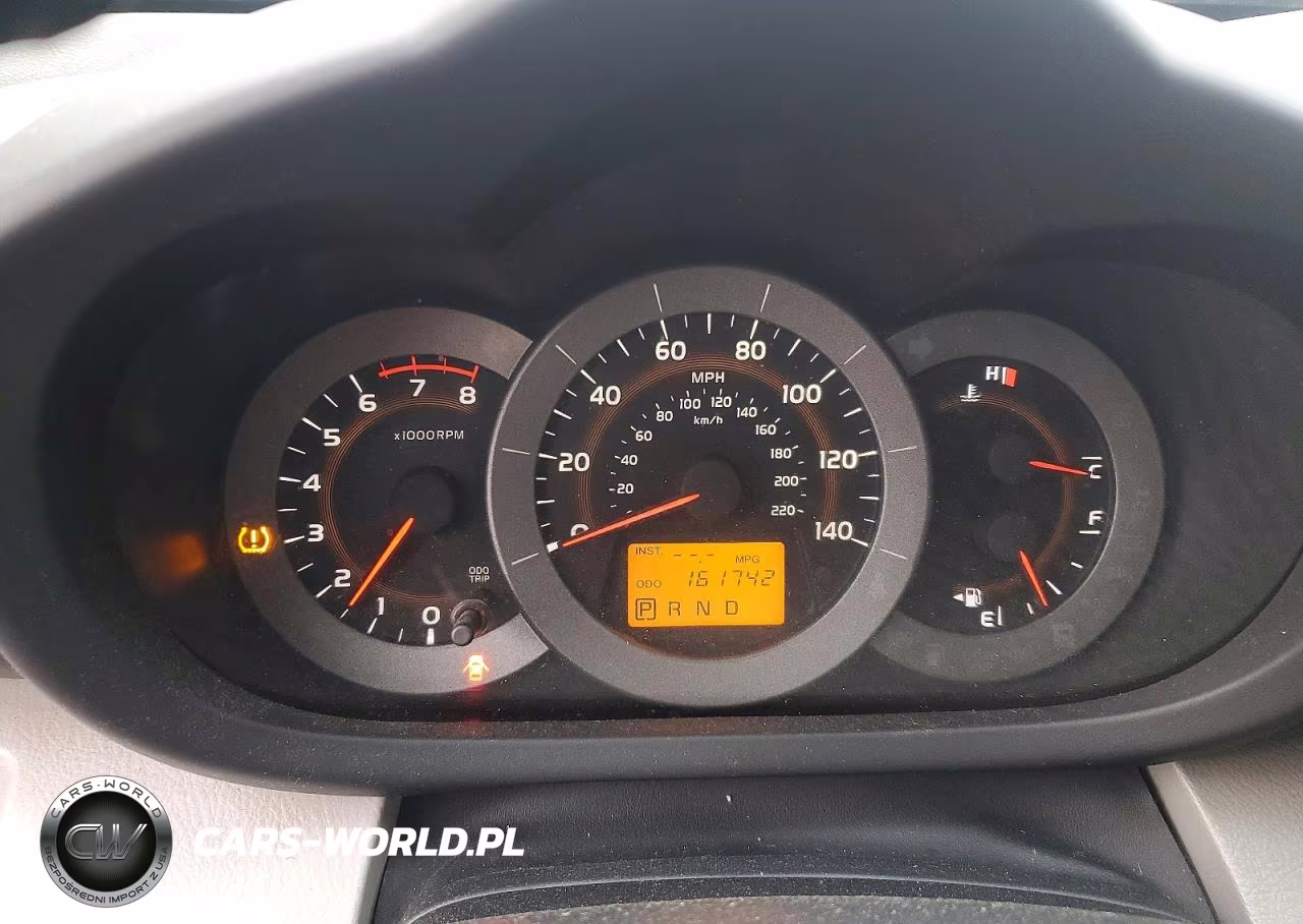 2009 Toyota Rav4 Base VIN:JTMBF33V49D010665 - 9