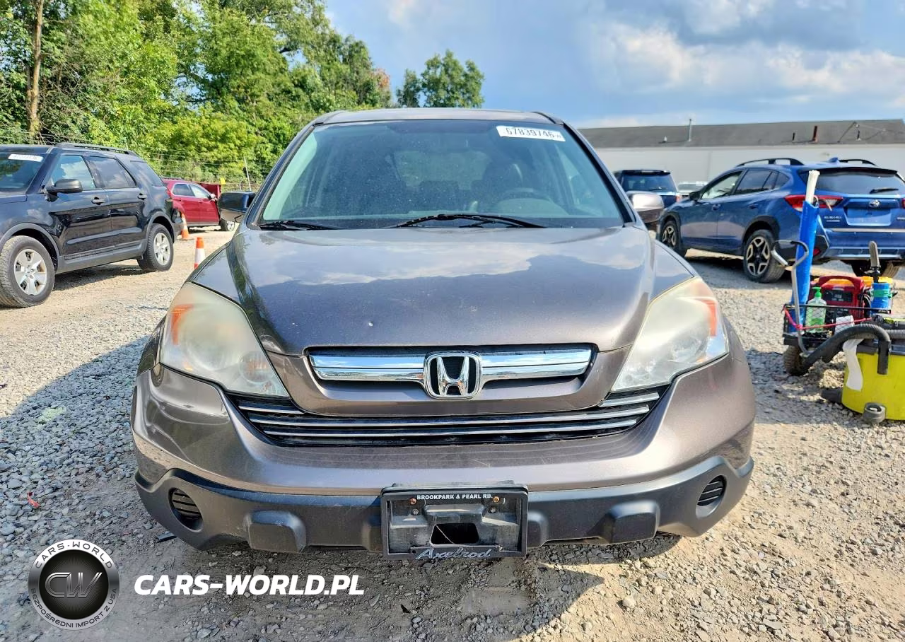 2009 Honda Cr-V Exl VIN:5J6RE48749L050973 - 5