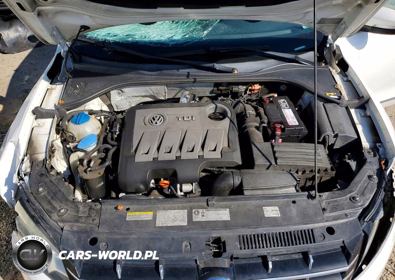 2013 Volkswagen Passat Sel VIN:1VWCN7A35DC045632 - 11