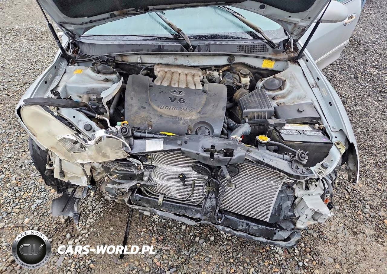 2004 Hyundai Sonata Gls VIN:KMHWF35H54A056357 - 11