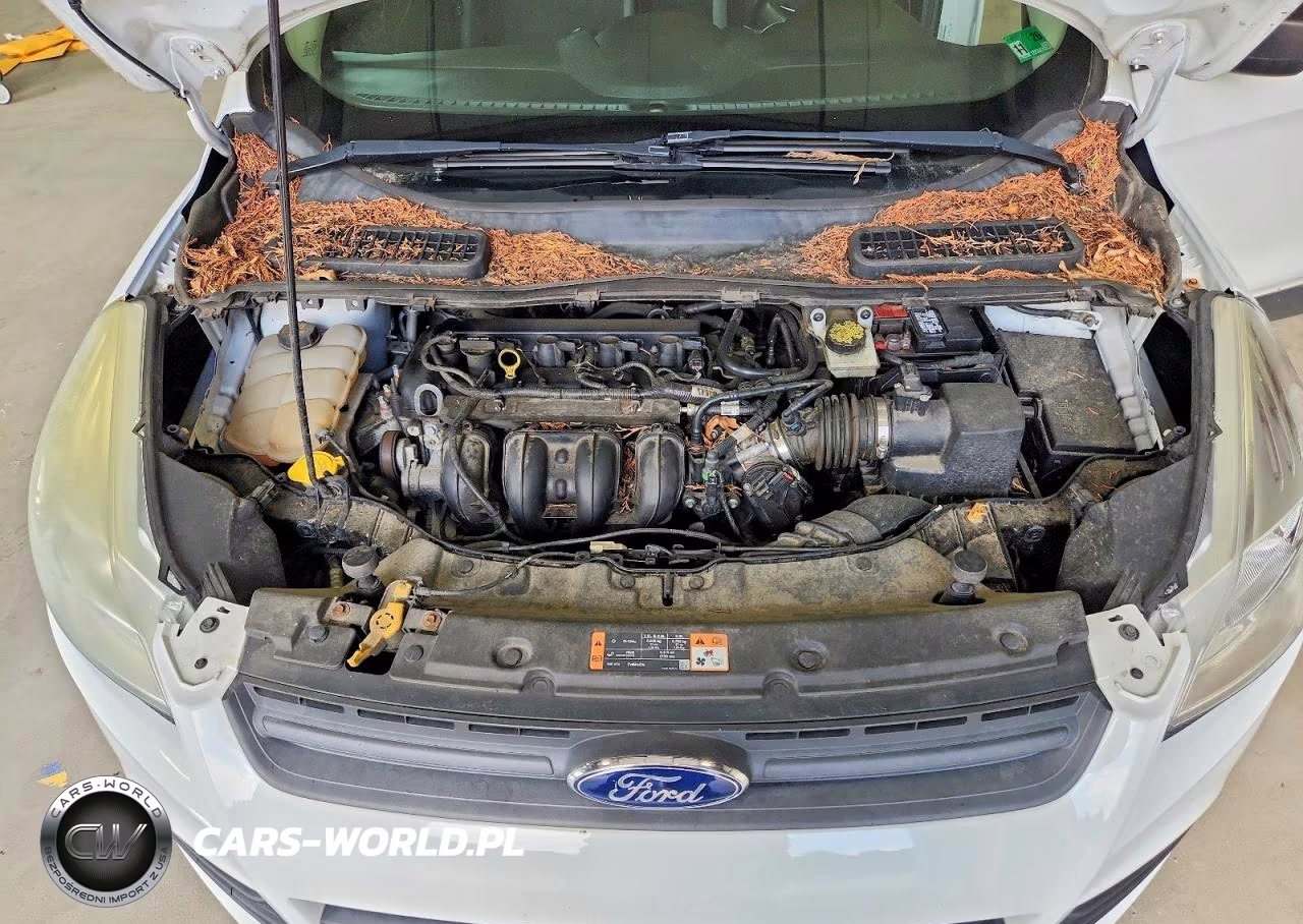 2015 Ford Escape S VIN:1FMCU0F73FUC28013 - 12
