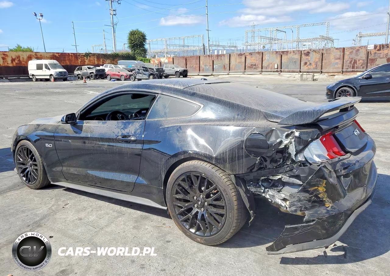 2019 Ford Mustang Gt VIN:1FA6P8CF2K5161353 - 2