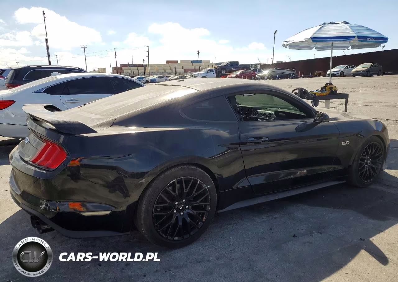 2019 Ford Mustang Gt VIN:1FA6P8CF2K5161353 - 3
