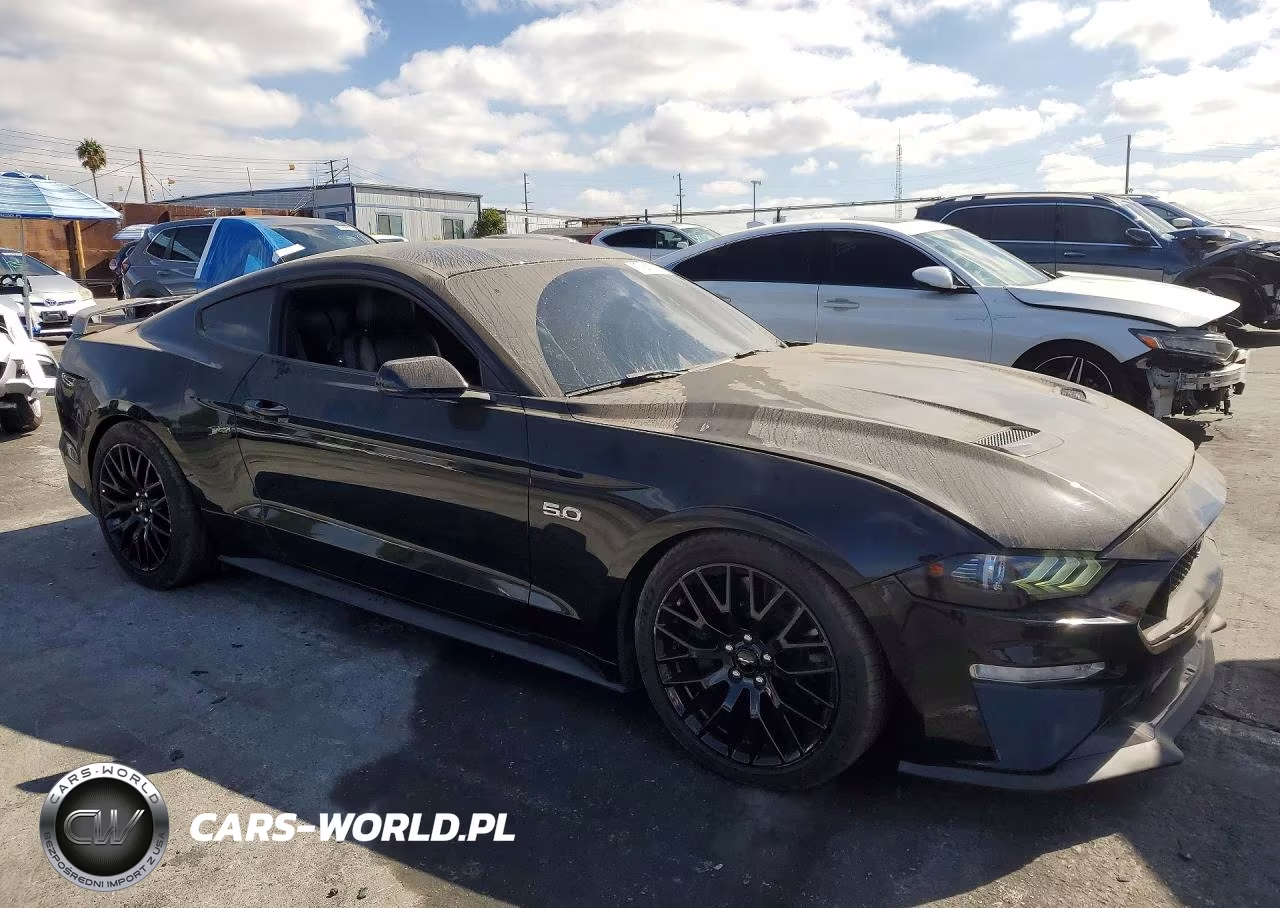 2019 Ford Mustang Gt VIN:1FA6P8CF2K5161353 - 4