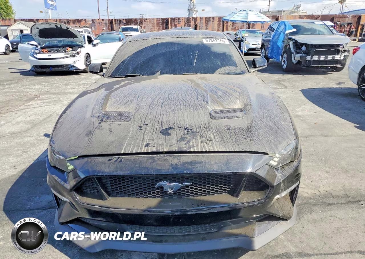 2019 Ford Mustang Gt VIN:1FA6P8CF2K5161353 - 5