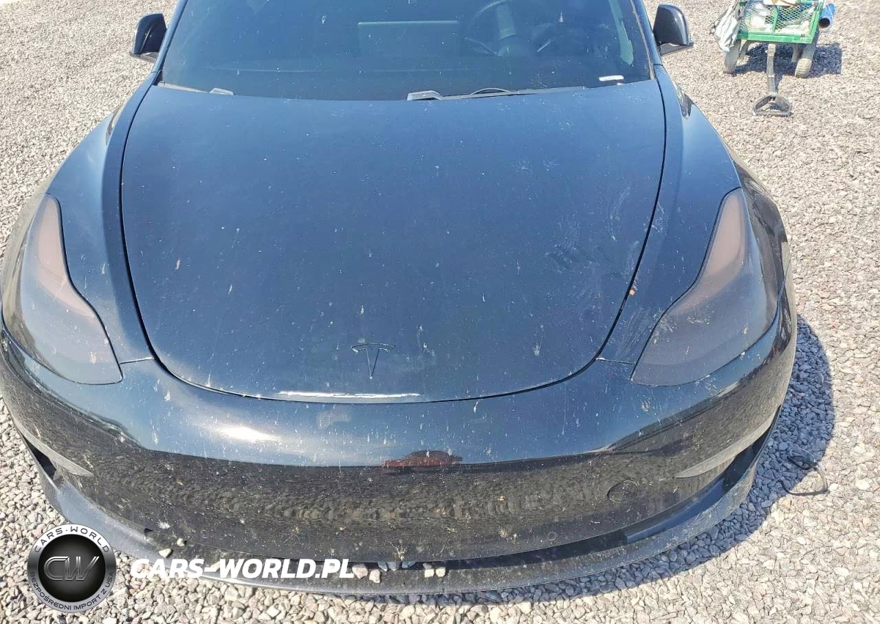2019 Tesla Model 3 VIN:5YJ3E1EBXKF208566 - 11