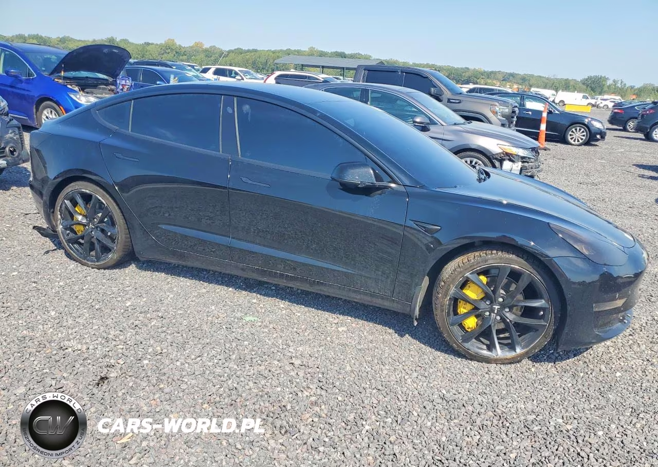 2019 Tesla Model 3 VIN:5YJ3E1EBXKF208566 - 4