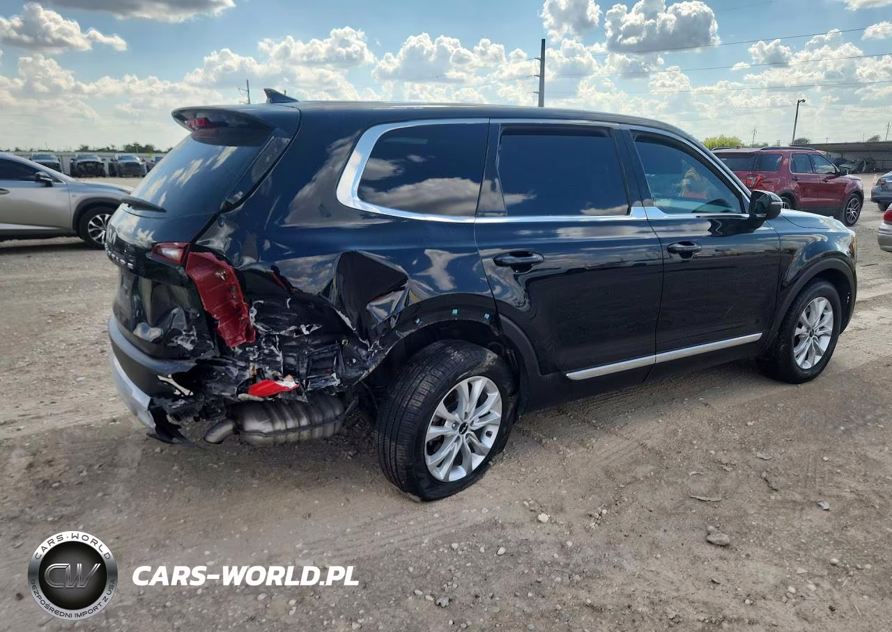 2022 Kia Telluride Lx VIN:5XYP24HC1NG260312 - 3