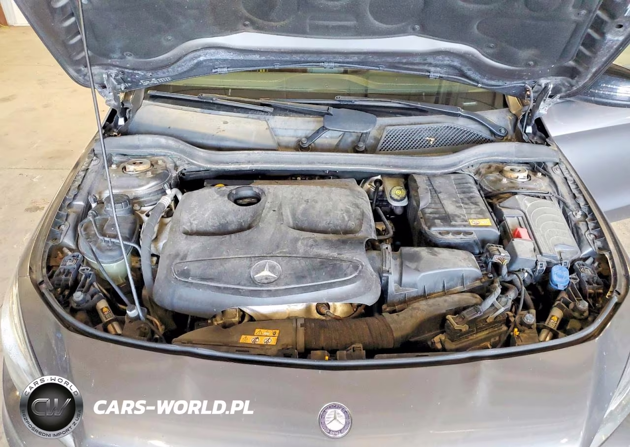 2014 Mercedes-Benz Cla 250 VIN:WDDSJ4EB1EN027831 - 11