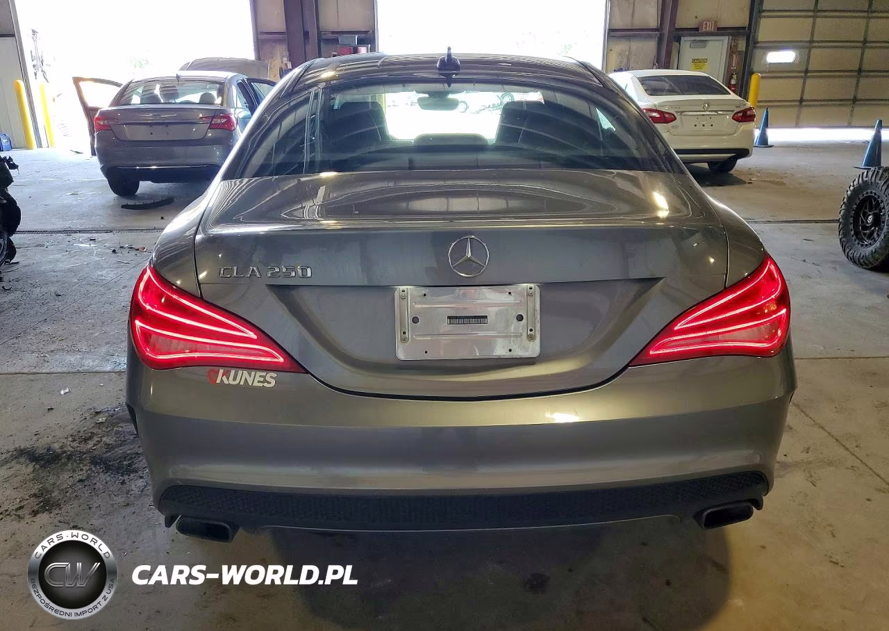 2014 Mercedes-Benz Cla 250 VIN:WDDSJ4EB1EN027831 - 6
