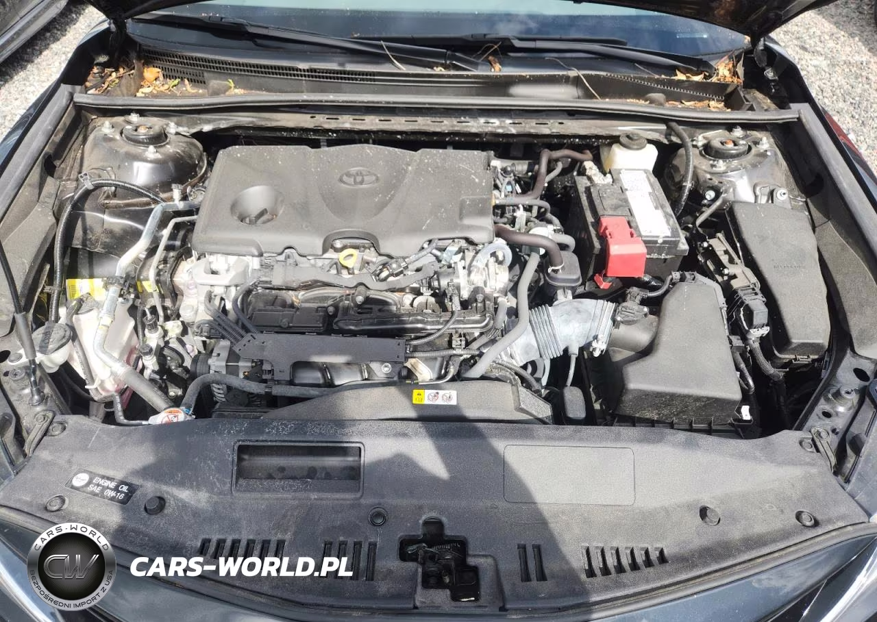 2023 Toyota Camry Le VIN:4T1C11AKXPU166301 - 11