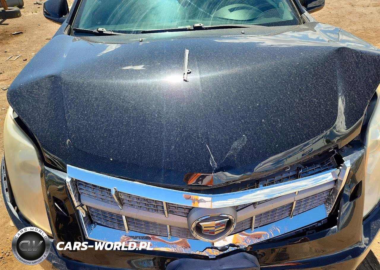 2010 Cadillac Srx Premium Collection VIN:3GYFNKE40AS570197 - 11