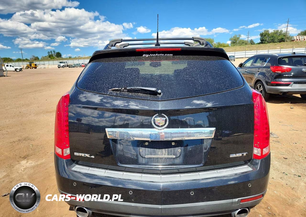 2010 Cadillac Srx Premium Collection VIN:3GYFNKE40AS570197 - 6