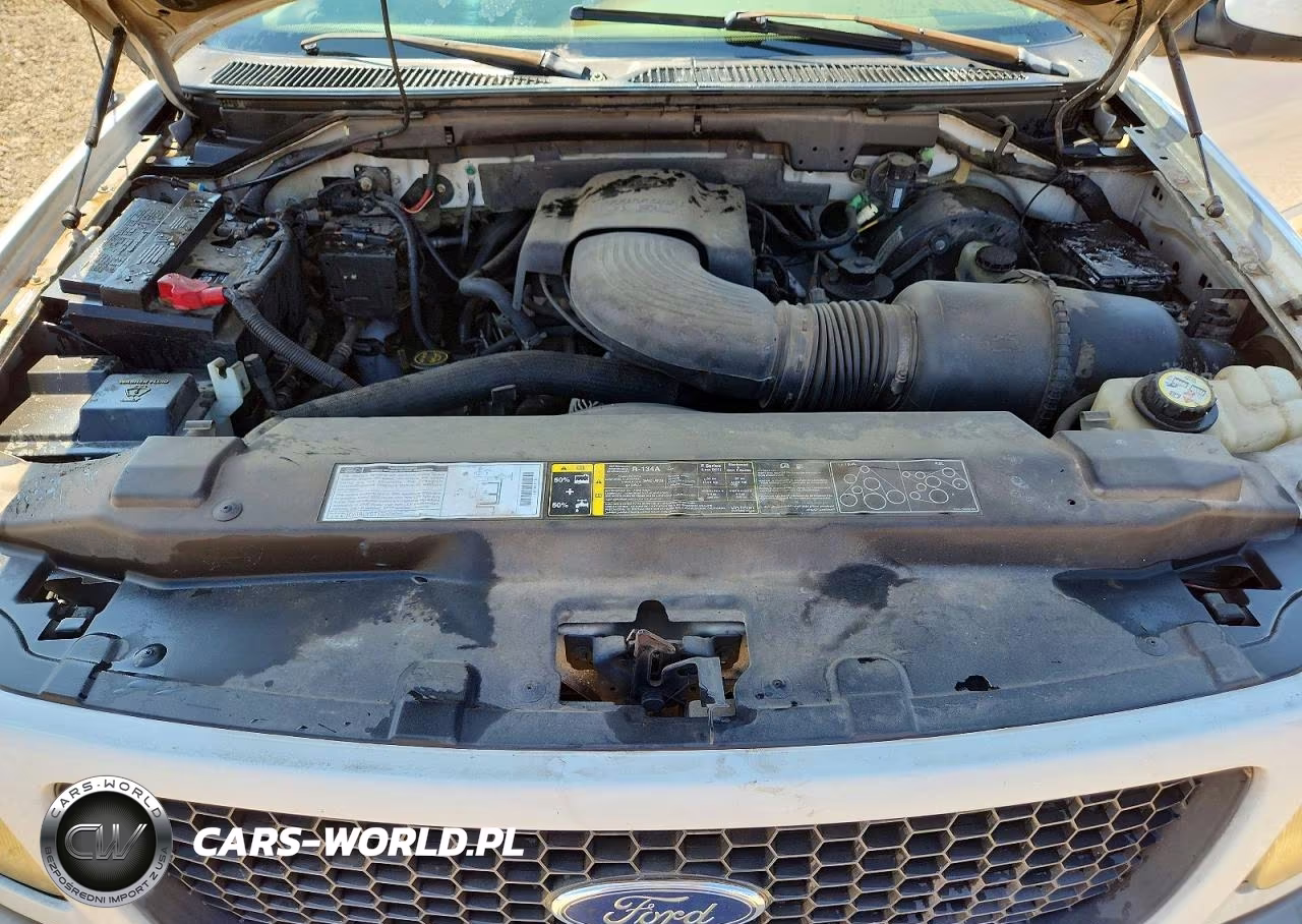 2002 Ford F150 VIN:1FTRX17W32NC00184 - 11