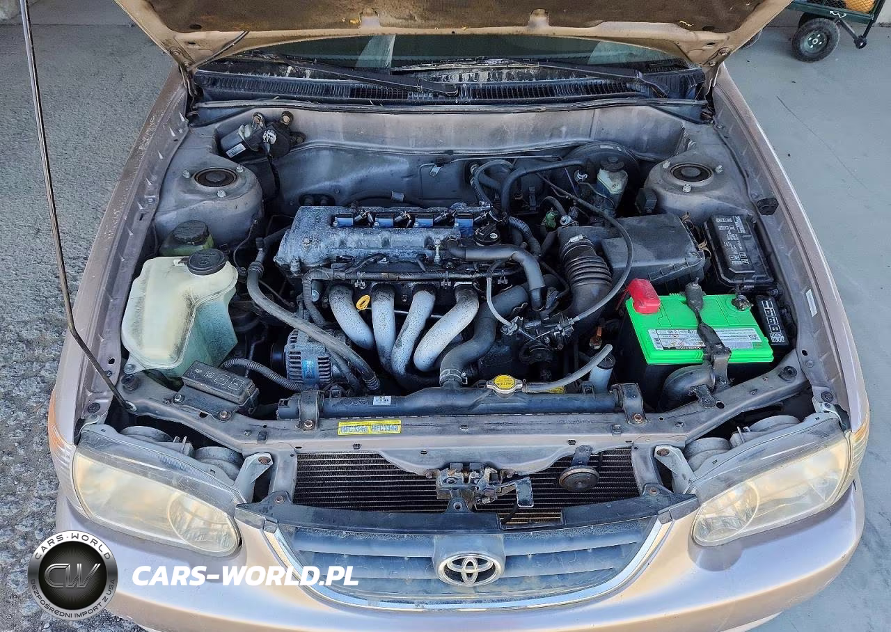 2001 Toyota Corolla Ce VIN:1NXBR12E51Z428200 - 11