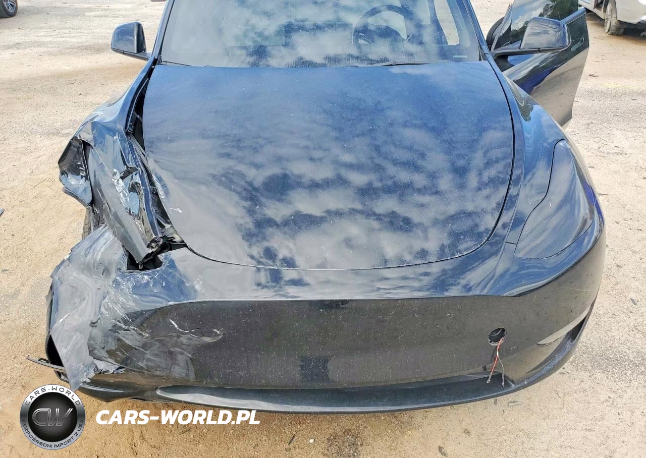 2023 Tesla Model Y VIN:7SAYGDEF6PF911421 - 12