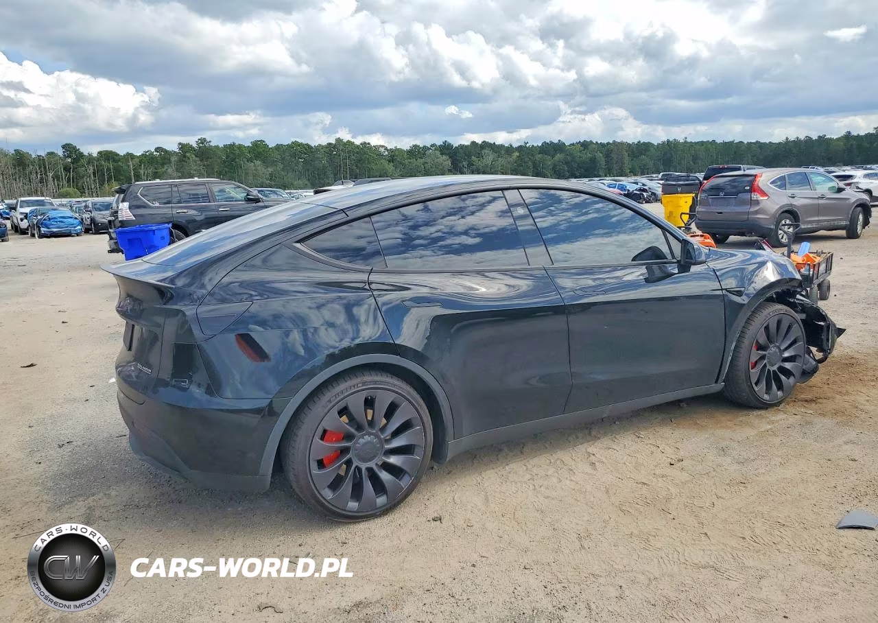 2023 Tesla Model Y VIN:7SAYGDEF6PF911421 - 3
