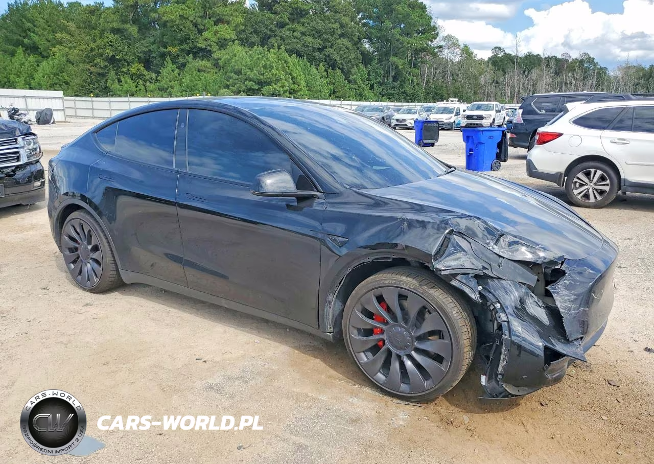 2023 Tesla Model Y VIN:7SAYGDEF6PF911421 - 4