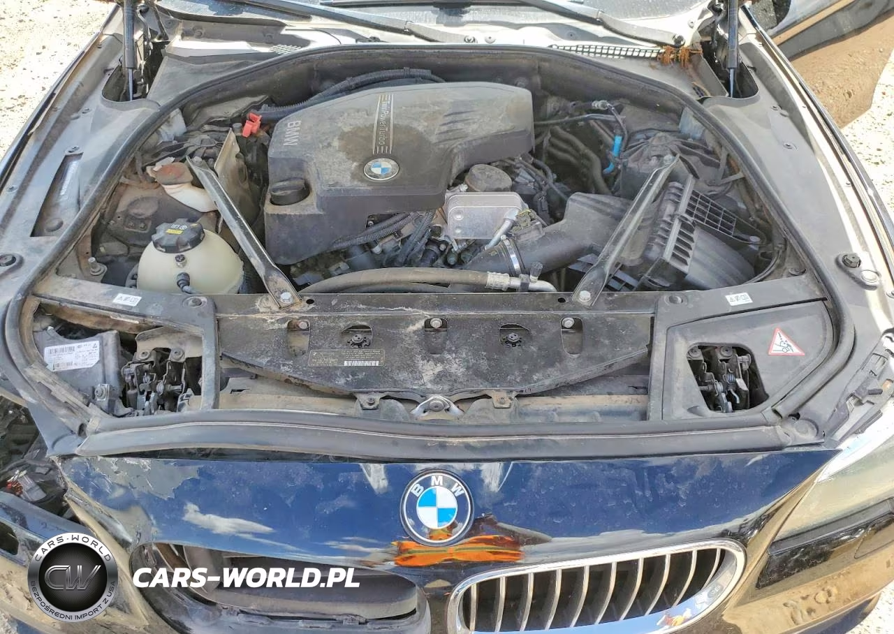 2015 BMW 528 I VIN:WBA5A5C59FD520610 - 11