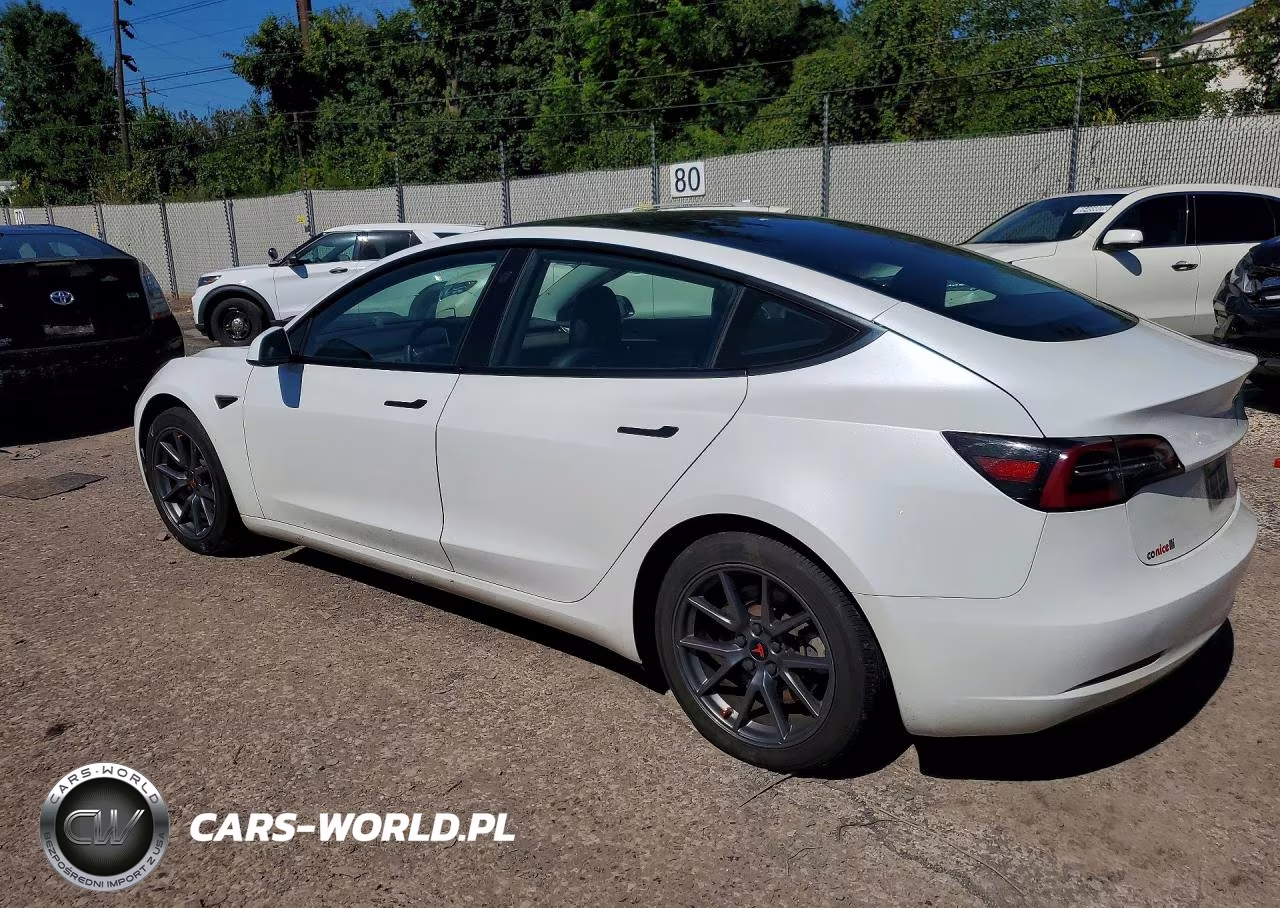 2023 Tesla Model 3 VIN:5YJ3E1EA1PF459801 - 2