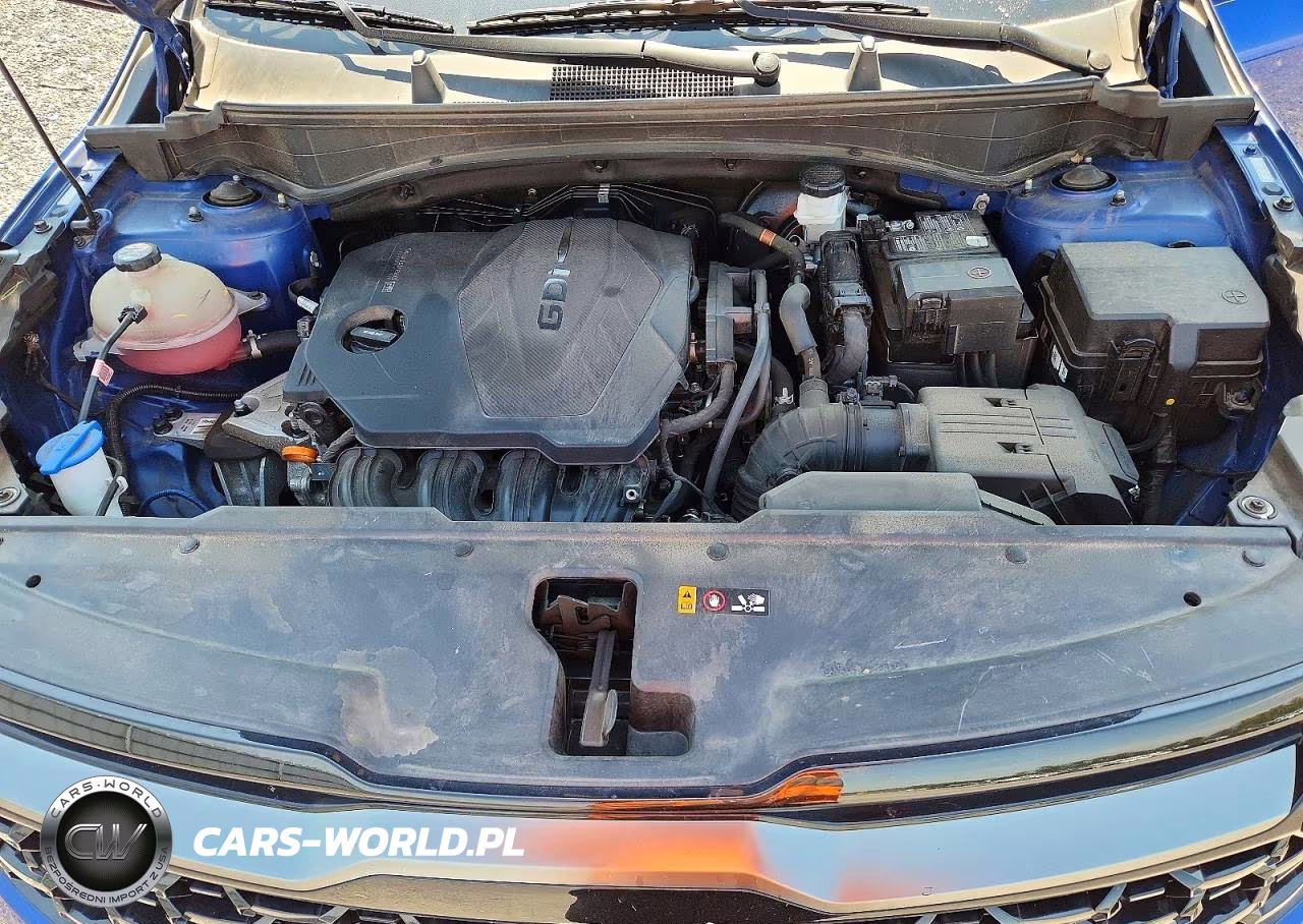 2023 Kia Sportage X Line VIN:5XYK6CAF6PG033388 - 12
