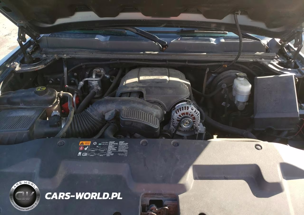 2013 Chevrolet Silverado C1500 Lt VIN:1GCRCSE0XDZ302674 - 11