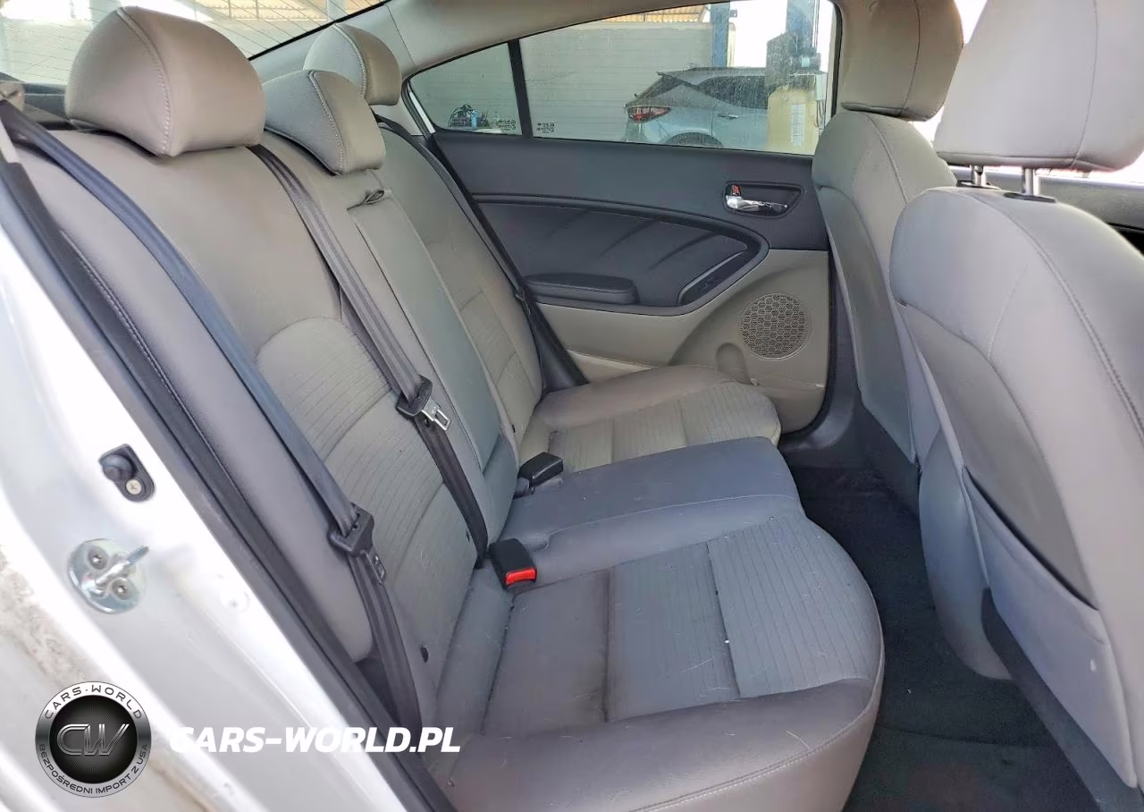 2016 Kia Forte Lx VIN:KNAFX4A61G5550138 - 10