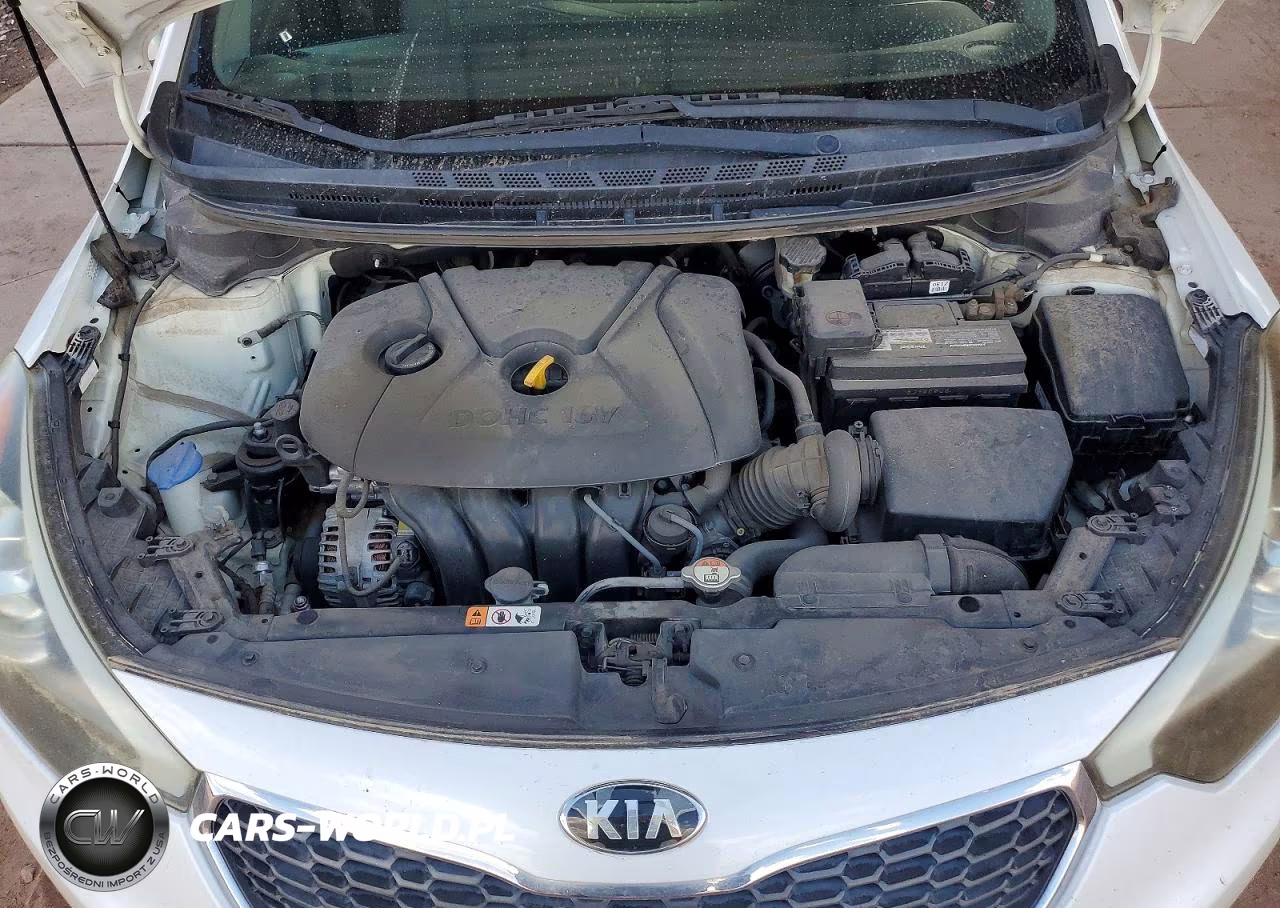 2016 Kia Forte Lx VIN:KNAFX4A61G5550138 - 11