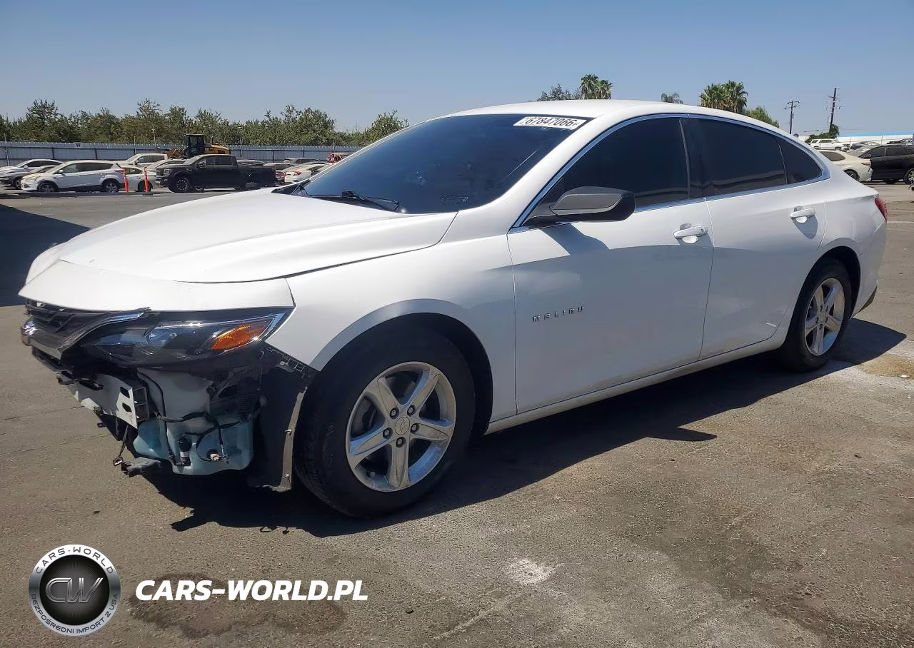 2019 Chevrolet Malibu 1Ls