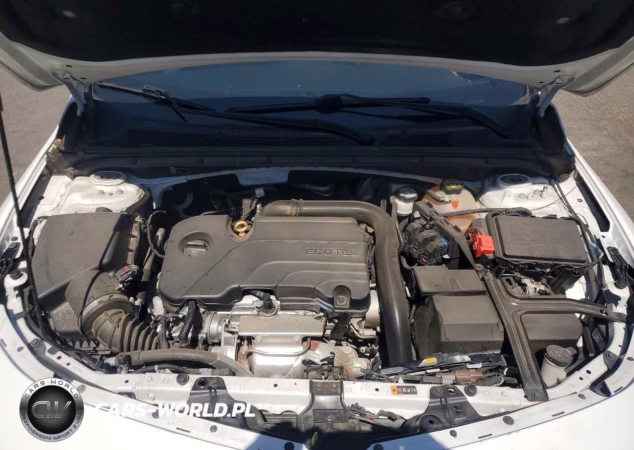 2019 Chevrolet Malibu 1Ls VIN:1G1ZB5ST1KF211450 - 11