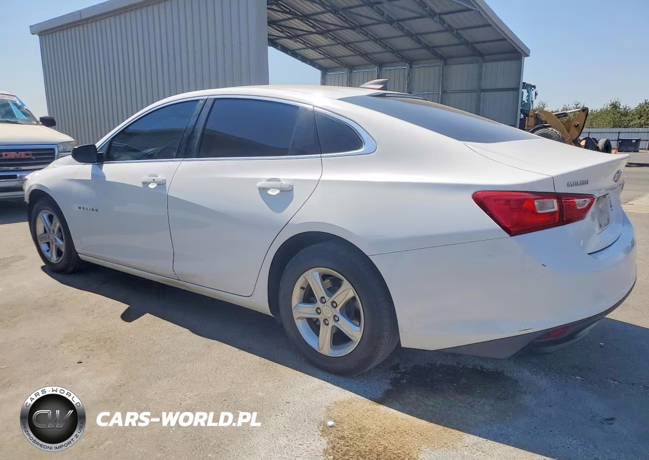 2019 Chevrolet Malibu 1Ls VIN:1G1ZB5ST1KF211450 - 2