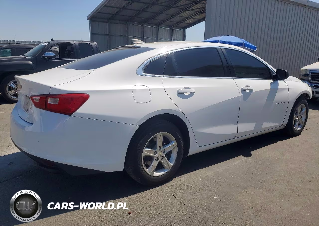 2019 Chevrolet Malibu 1Ls VIN:1G1ZB5ST1KF211450 - 3