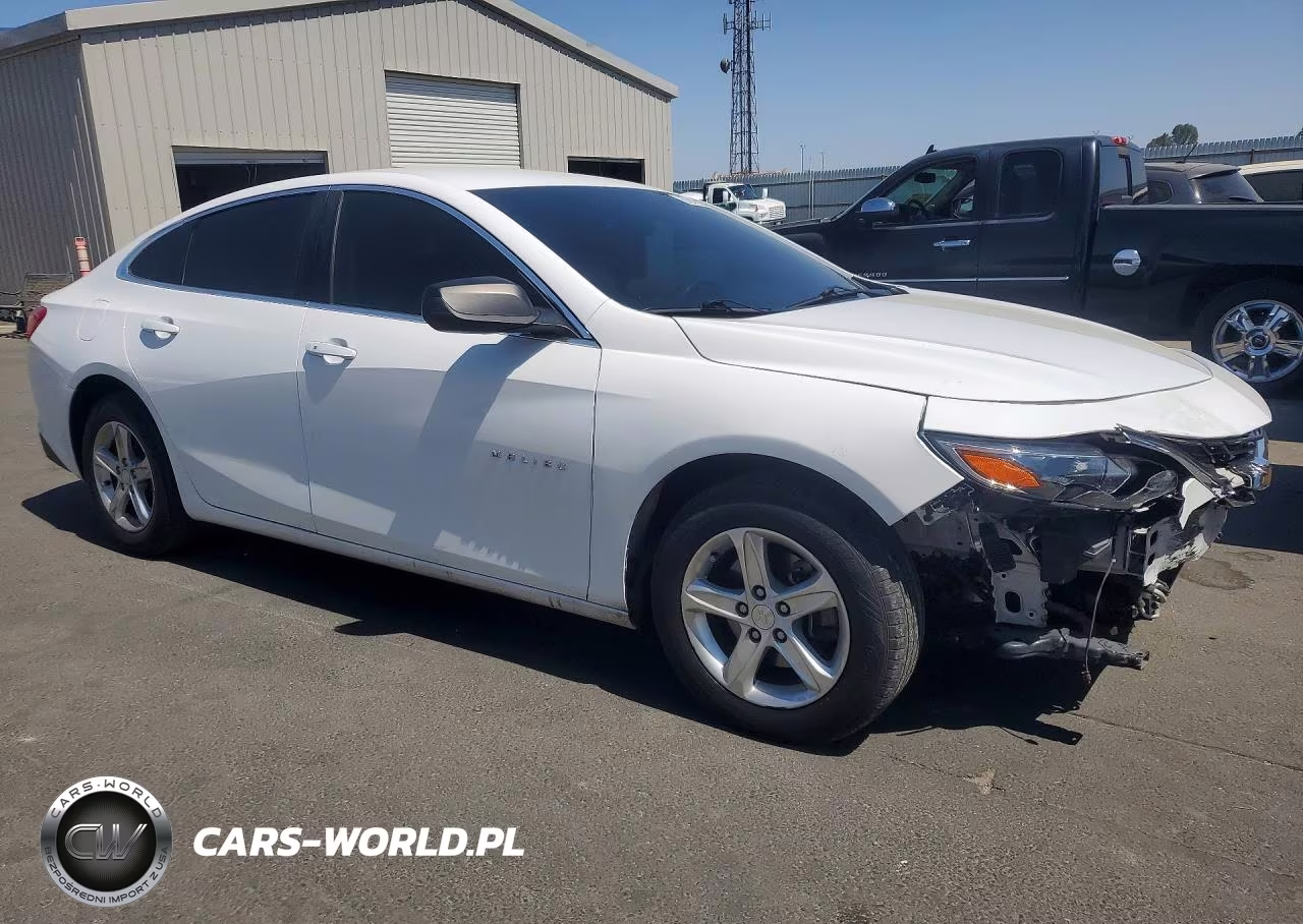 2019 Chevrolet Malibu 1Ls VIN:1G1ZB5ST1KF211450 - 4