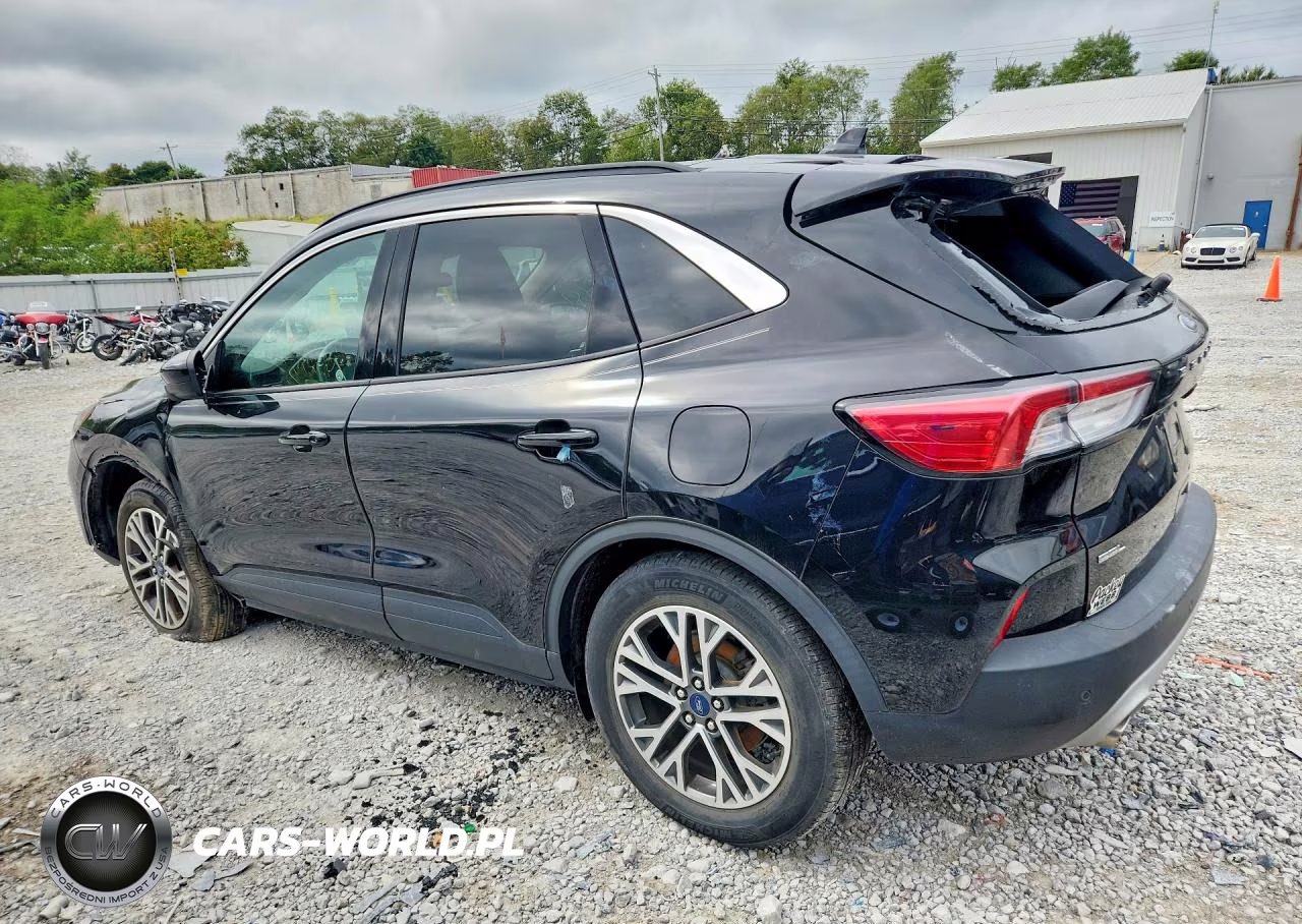 2020 Ford Escape Sel VIN:1FMCU0H64LUA70443 - 2