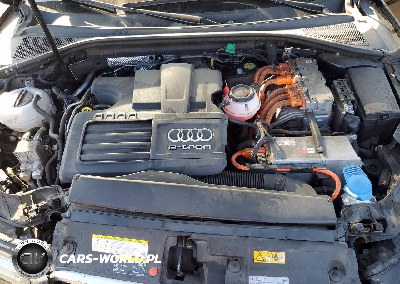 2016 Audi A3 E-Tron Premium Plus VIN:WAUTPBFF3GA049825 - 12