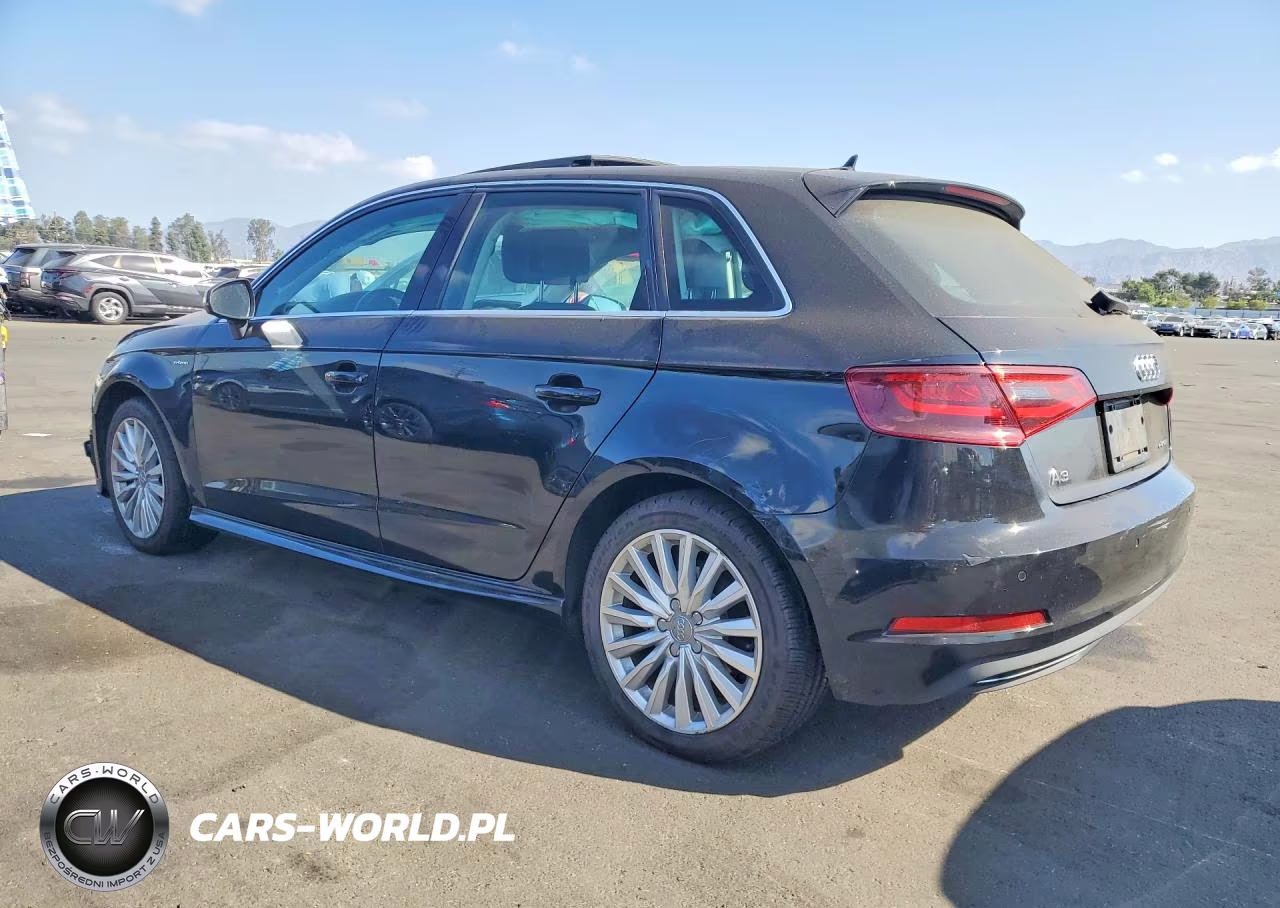 2016 Audi A3 E-Tron Premium Plus VIN:WAUTPBFF3GA049825 - 2