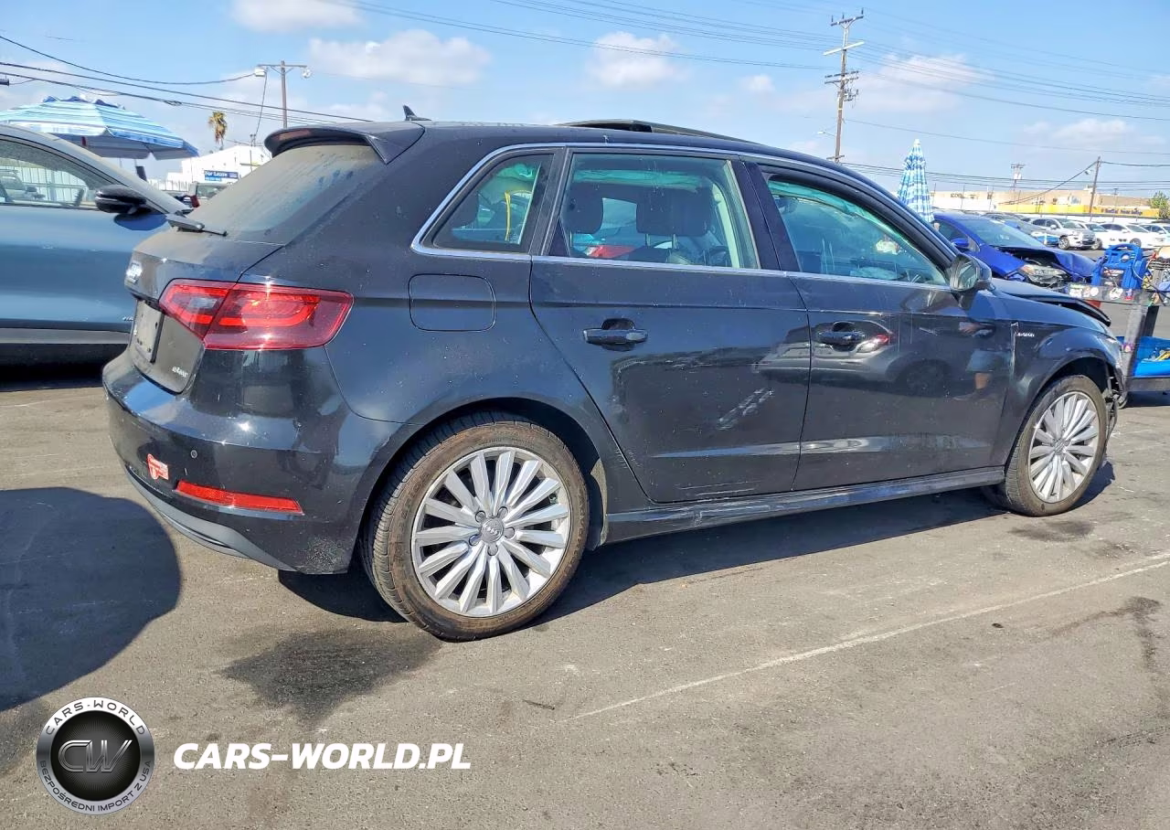 2016 Audi A3 E-Tron Premium Plus VIN:WAUTPBFF3GA049825 - 3