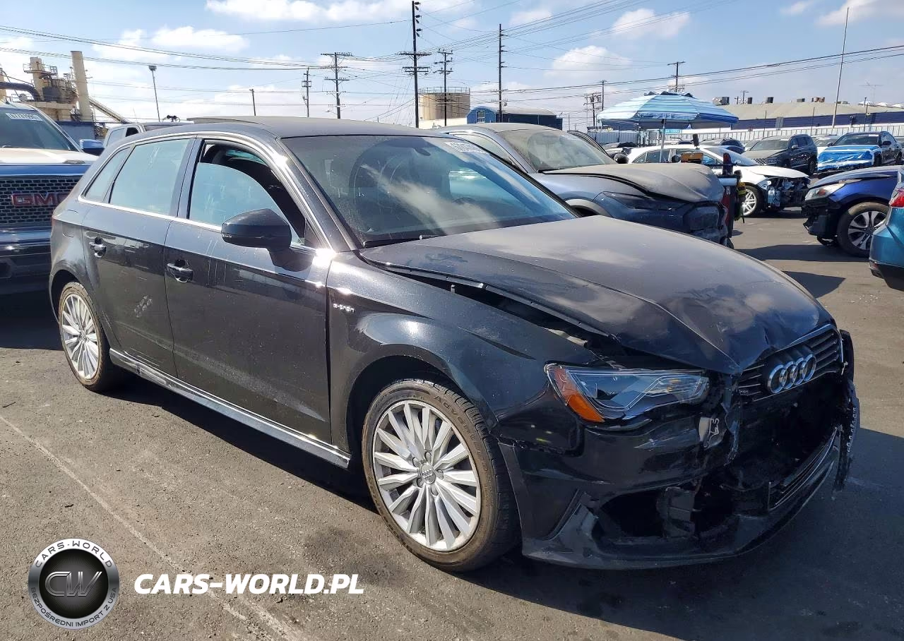 2016 Audi A3 E-Tron Premium Plus VIN:WAUTPBFF3GA049825 - 4