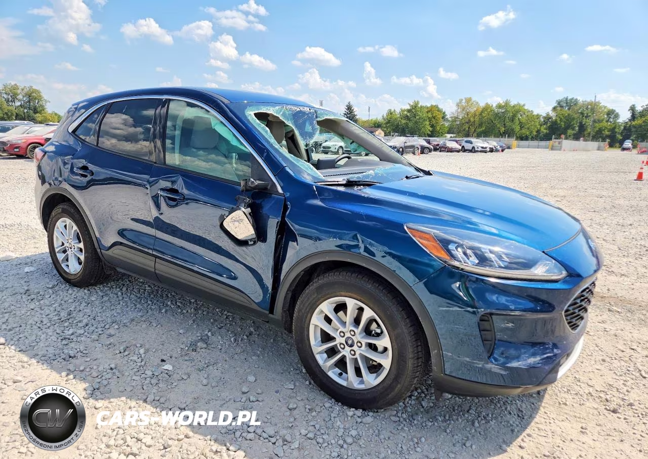 2020 Ford Escape Se VIN:1FMCU0G60LUB64689 - 4