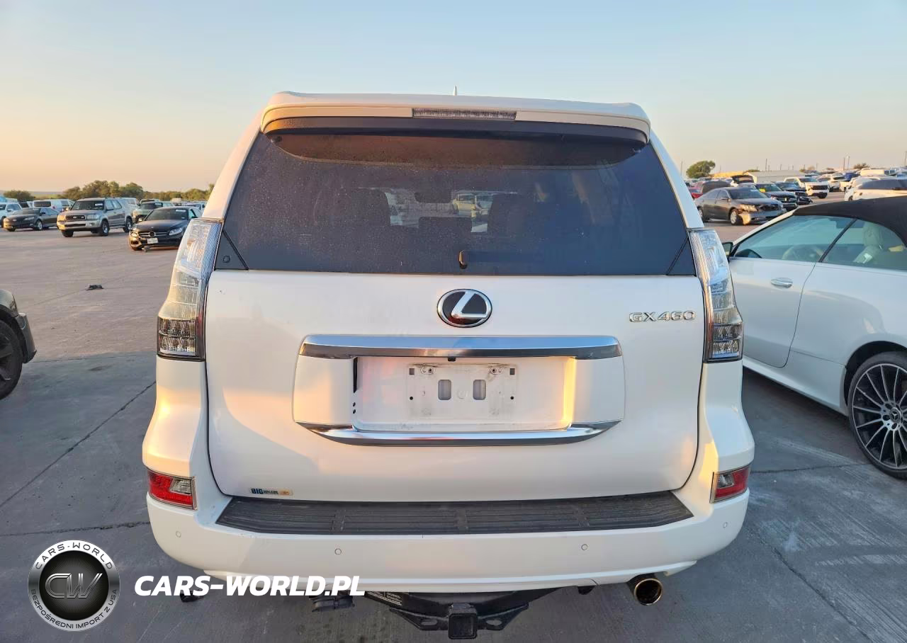 2020 Lexus Gx 460 Premium VIN:JTJAM7BXXL5264410 - 6