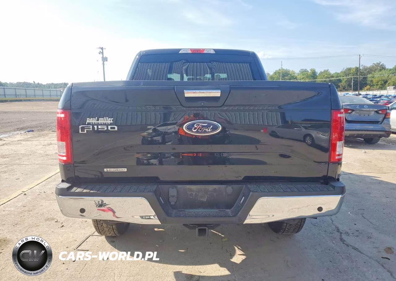 2017 Ford F150 Supercrew VIN:1FTEW1EGXHKD23732 - 6