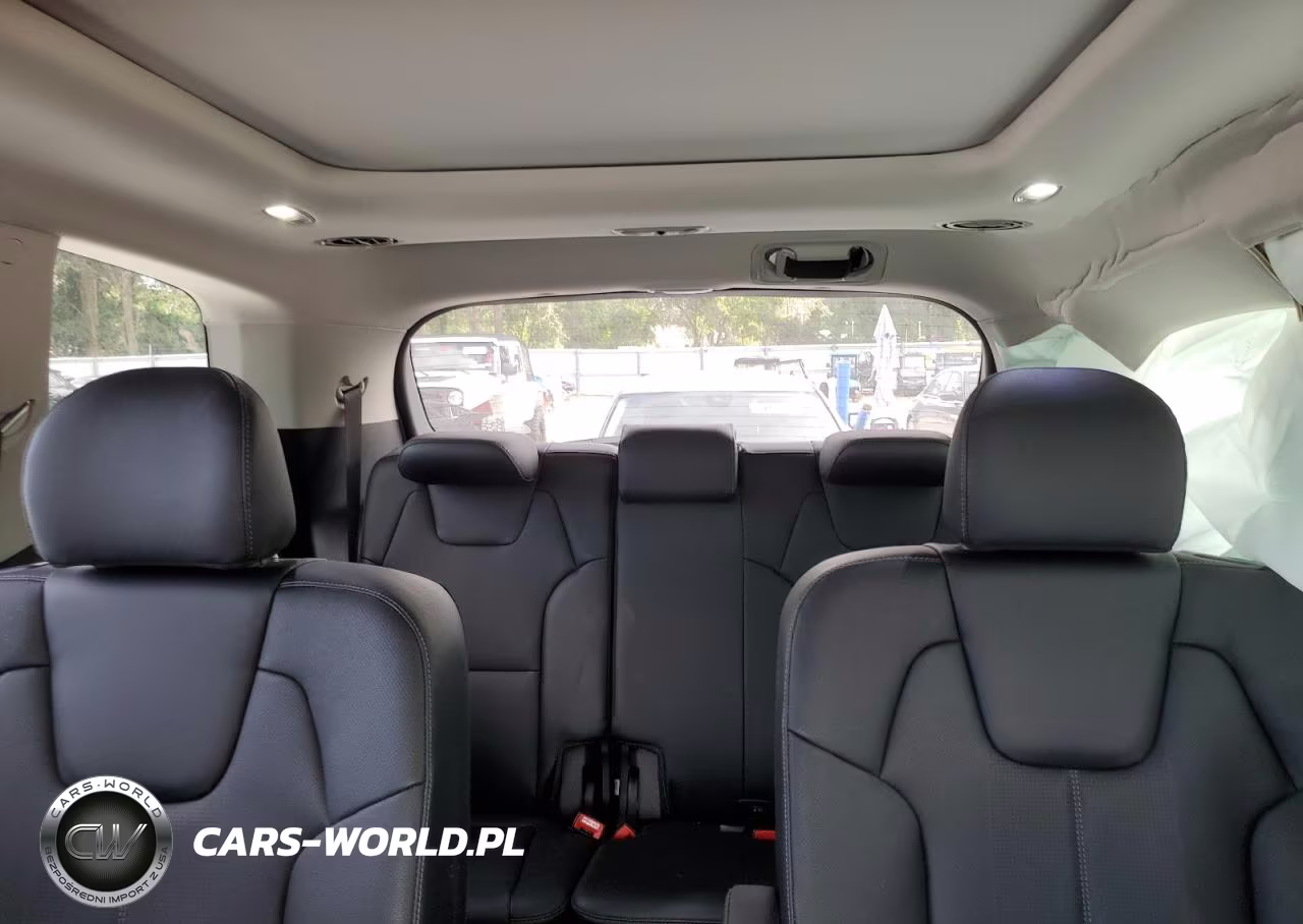 2023 Kia Telluride Sx VIN:5XYP5DGC0PG409952 - 10