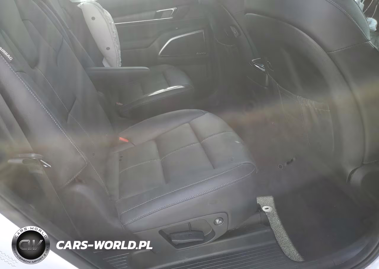 2023 Kia Telluride Sx VIN:5XYP5DGC0PG409952 - 11