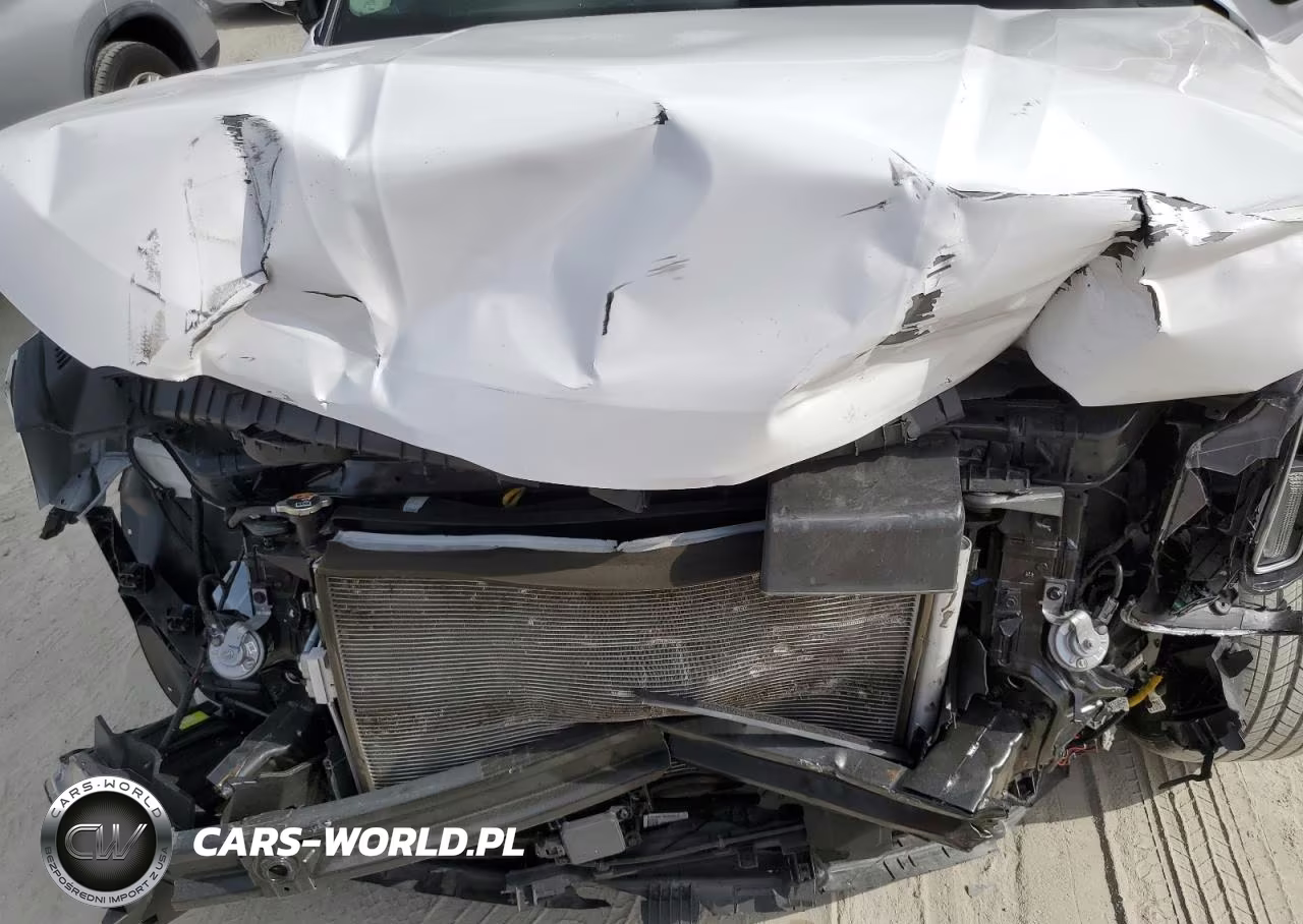 2023 Kia Telluride Sx VIN:5XYP5DGC0PG409952 - 12