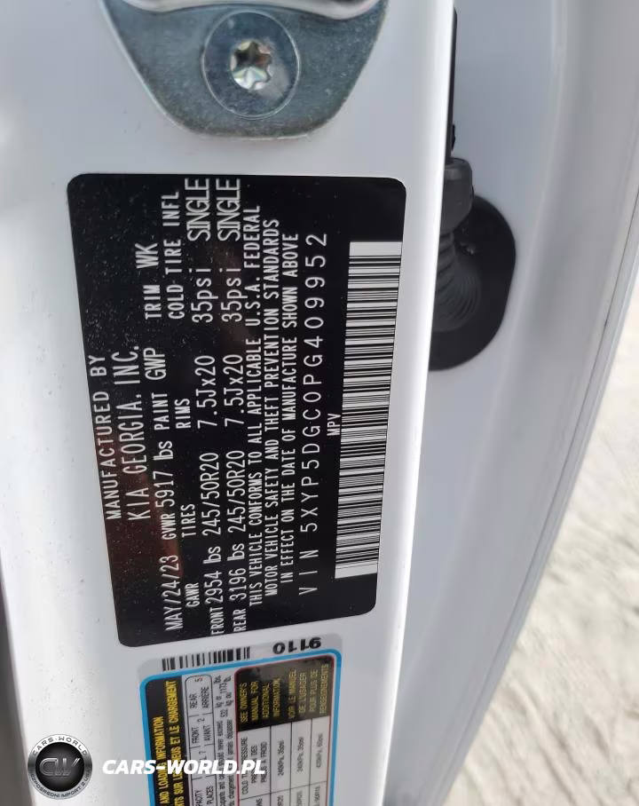 2023 Kia Telluride Sx VIN:5XYP5DGC0PG409952 - 13