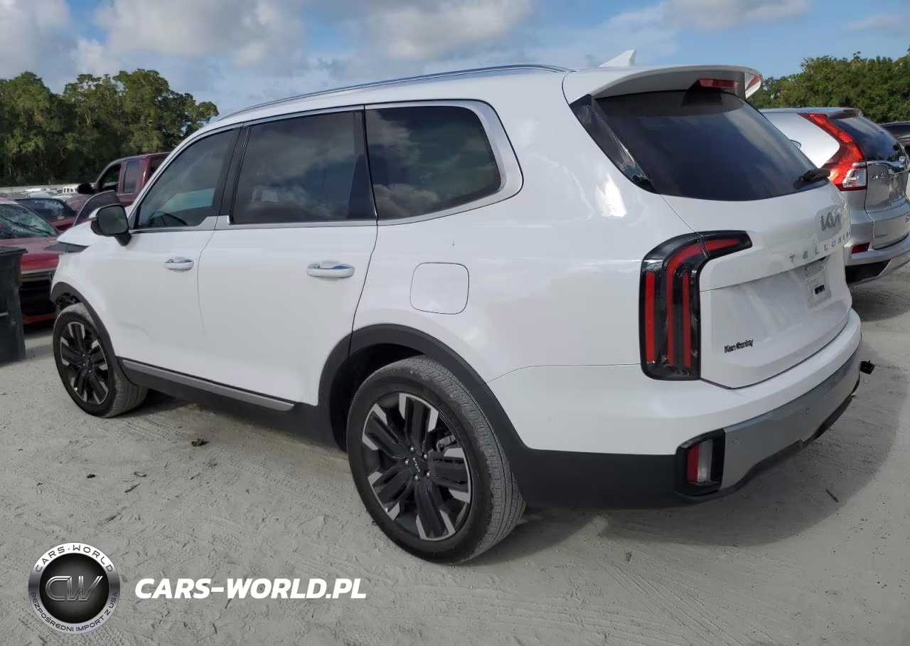 2023 Kia Telluride Sx VIN:5XYP5DGC0PG409952 - 2