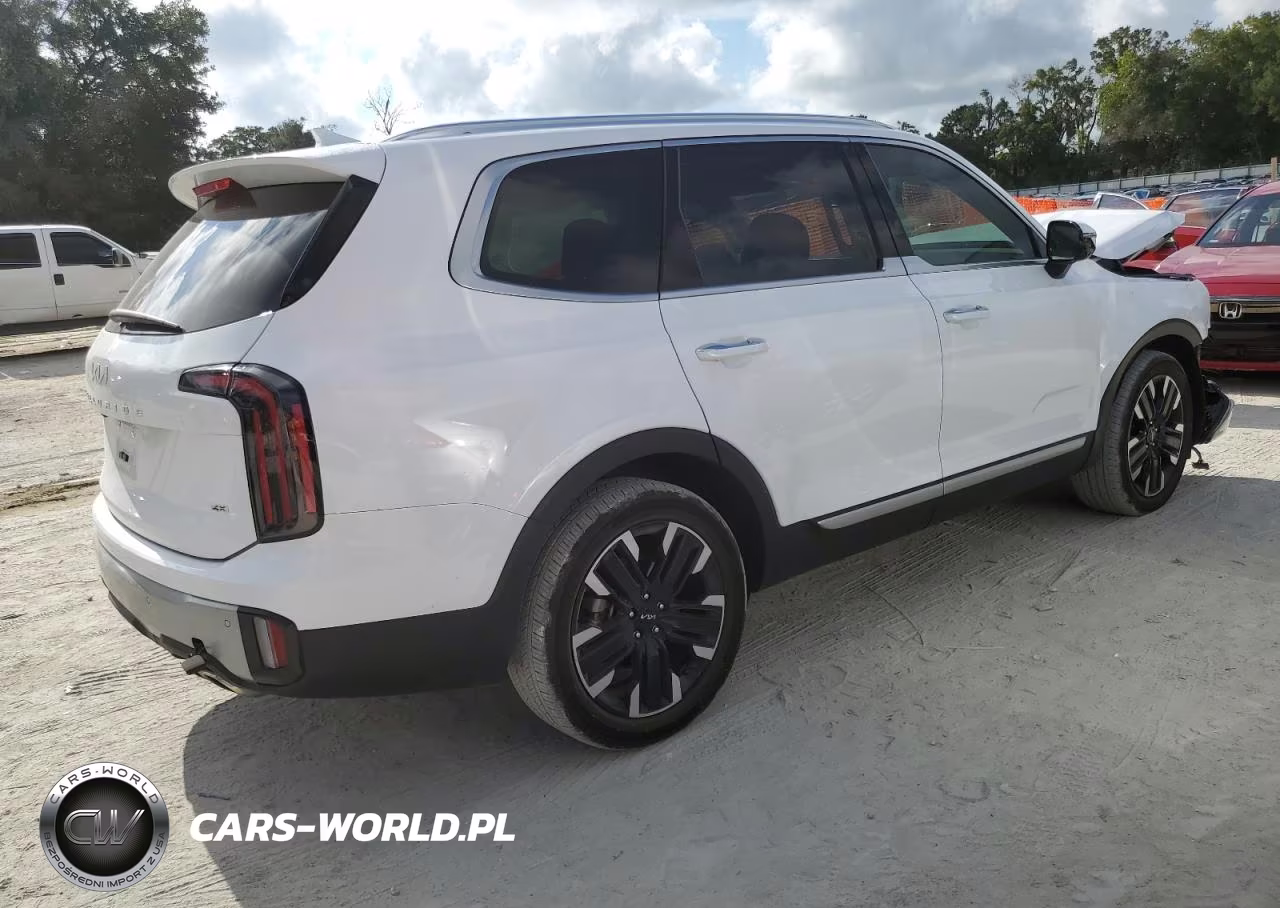 2023 Kia Telluride Sx VIN:5XYP5DGC0PG409952 - 3